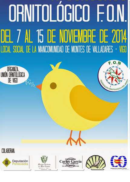 VI CONCURSO DE F.O.N.